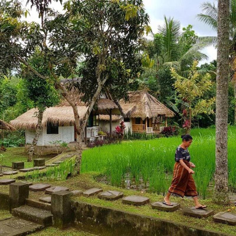 Hakiki Inn Bungalows تيتيباتو المظهر الخارجي الصورة